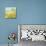 Polka Dot Delight-House-Robbin Rawlings-Mounted Art Print displayed on a wall