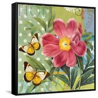 Polka Dot Peony-Walter Robertson-Framed Stretched Canvas