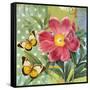 Polka Dot Peony-Walter Robertson-Framed Stretched Canvas