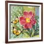 Polka Dot Peony-Walter Robertson-Framed Art Print