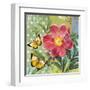 Polka Dot Peony-Walter Robertson-Framed Art Print