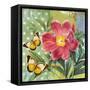 Polka Dot Peony-Walter Robertson-Framed Stretched Canvas