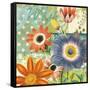 Polka Dot Poppy-Walter Robertson-Framed Stretched Canvas