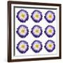 Polka Flowers I-James Guilliam-Framed Giclee Print