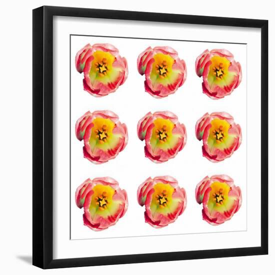 Polka Flowers II-James Guilliam-Framed Giclee Print