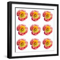 Polka Flowers II-James Guilliam-Framed Giclee Print