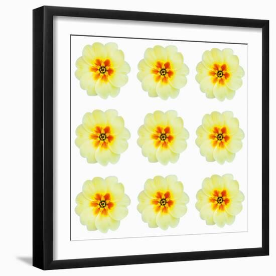 Polka Flowers III-James Guilliam-Framed Giclee Print