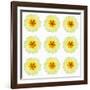 Polka Flowers III-James Guilliam-Framed Giclee Print