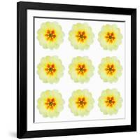 Polka Flowers III-James Guilliam-Framed Giclee Print