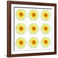 Polka Flowers III-James Guilliam-Framed Giclee Print