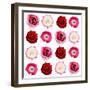 Polka Flowers IV-James Guilliam-Framed Giclee Print