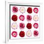 Polka Flowers IV-James Guilliam-Framed Giclee Print