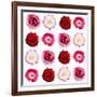 Polka Flowers IV-James Guilliam-Framed Giclee Print