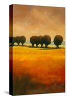 Pollard Willow II-Graham Reynolds-Stretched Canvas