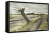 Pollard Willow-Vincent van Gogh-Framed Stretched Canvas