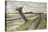 Pollard Willow-Vincent van Gogh-Stretched Canvas