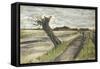 Pollard Willow-Vincent van Gogh-Framed Stretched Canvas