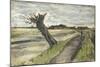 Pollard Willow-Vincent van Gogh-Mounted Giclee Print