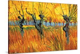 Pollard Willows at Sunset-Vincent van Gogh-Stretched Canvas