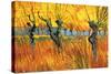 Pollard Willows at Sunset-Vincent van Gogh-Stretched Canvas