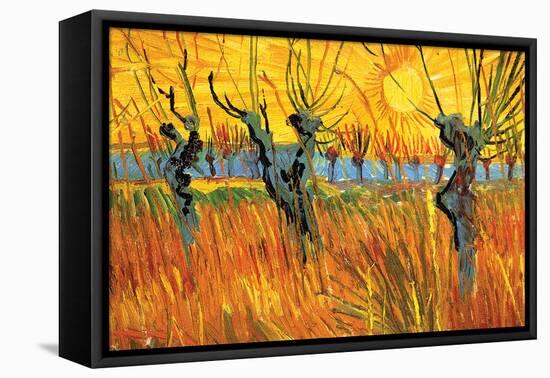 Pollard Willows at Sunset-Vincent van Gogh-Framed Stretched Canvas