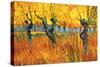 Pollard Willows at Sunset-Vincent van Gogh-Stretched Canvas