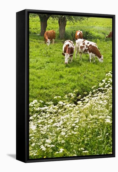 Pollard-Willows, Cow Parsley and Grazing Cows-Colette2-Framed Stretched Canvas