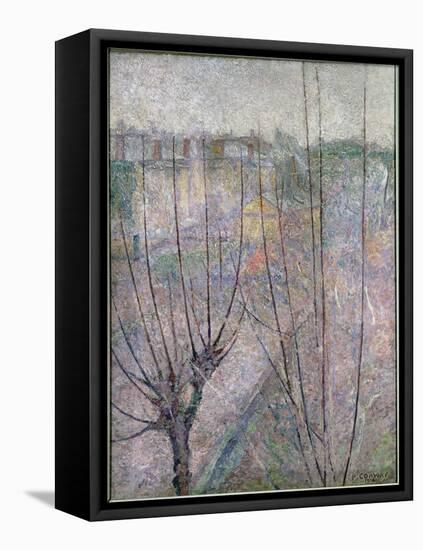 Pollarded Trees, Ashford, 1914 (Oil on Canvas)-James Brown-Framed Stretched Canvas