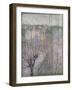 Pollarded Trees, Ashford, 1914 (Oil on Canvas)-James Brown-Framed Giclee Print