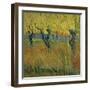 Pollarded Willows and Setting Sun, 1888 (Oil on Card)-Vincent van Gogh-Framed Giclee Print