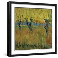 Pollarded Willows and Setting Sun, 1888 (Oil on Card)-Vincent van Gogh-Framed Giclee Print