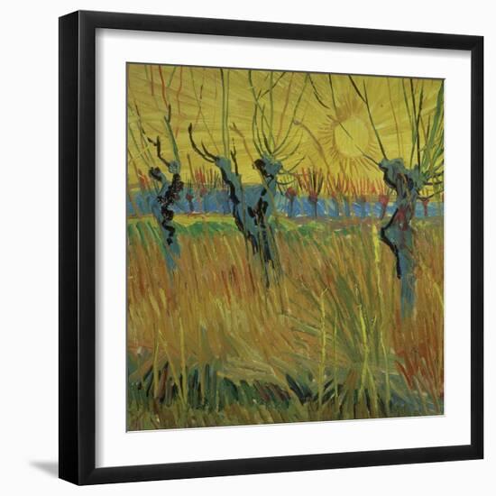 Pollarded Willows and Setting Sun, 1888 (Oil on Card)-Vincent van Gogh-Framed Giclee Print