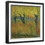 Pollarded Willows and Setting Sun, 1888 (Oil on Card)-Vincent van Gogh-Framed Giclee Print