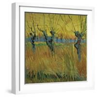 Pollarded Willows and Setting Sun, 1888 (Oil on Card)-Vincent van Gogh-Framed Giclee Print