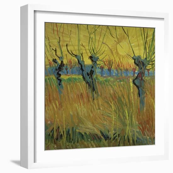 Pollarded Willows and Setting Sun, 1888 (Oil on Card)-Vincent van Gogh-Framed Giclee Print