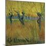 Pollarded Willows and Setting Sun, 1888 (Oil on Card)-Vincent van Gogh-Mounted Giclee Print