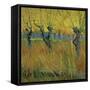 Pollarded Willows and Setting Sun, 1888 (Oil on Card)-Vincent van Gogh-Framed Stretched Canvas