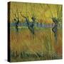 Pollarded Willows and Setting Sun, 1888 (Oil on Card)-Vincent van Gogh-Stretched Canvas