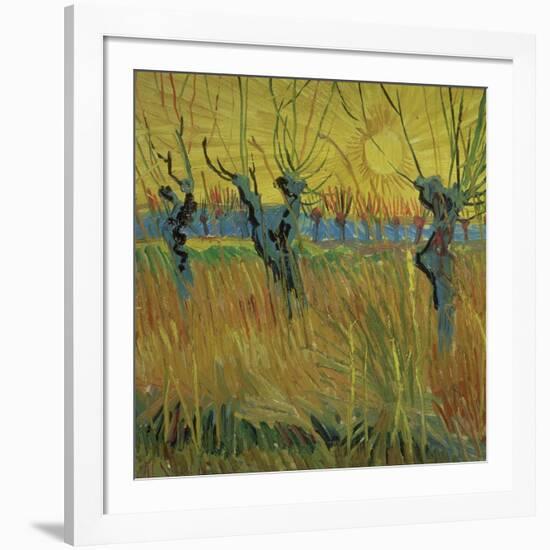 Pollarded Willows and Setting Sun, 1888 (Oil on Card)-Vincent van Gogh-Framed Giclee Print