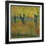 Pollarded Willows and Setting Sun, 1888 (Oil on Card)-Vincent van Gogh-Framed Giclee Print