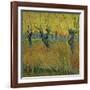 Pollarded Willows and Setting Sun, 1888 (Oil on Card)-Vincent van Gogh-Framed Giclee Print