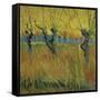 Pollarded Willows and Setting Sun, 1888 (Oil on Card)-Vincent van Gogh-Framed Stretched Canvas