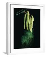 Pollen Dispersed by Wind-Dr^ Jeremy-Framed Photographic Print