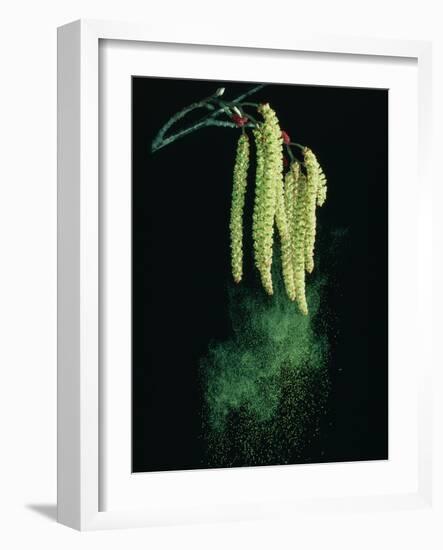 Pollen Dispersed by Wind-Dr^ Jeremy-Framed Photographic Print