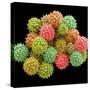 Pollen Grains-null-Stretched Canvas