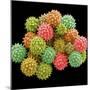 Pollen Grains-null-Mounted Photographic Print