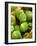 Pollen of Melon-Micro Discovery-Framed Photographic Print