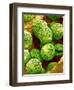 Pollen of Melon-Micro Discovery-Framed Photographic Print