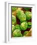 Pollen of Melon-Micro Discovery-Framed Photographic Print