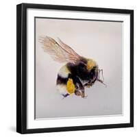 Pollen sac 1, 2011-Odile Kidd-Framed Giclee Print